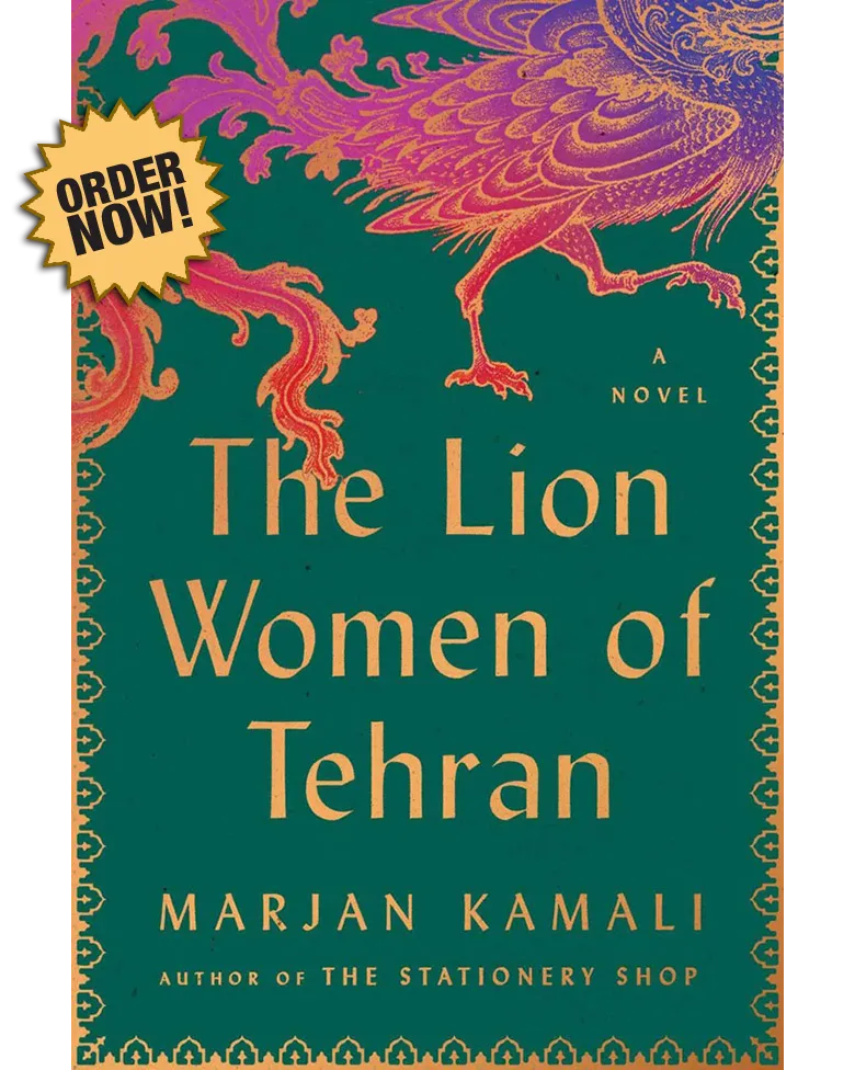 The Lion Women of Tehran cover